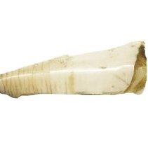 Omc 1960.719.008  (3) Edited